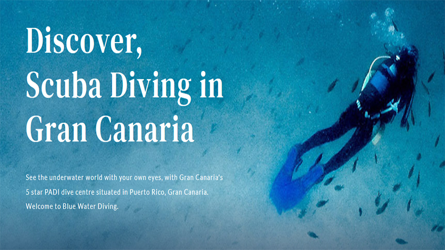 Blue Water Diving -  Puerto Rico